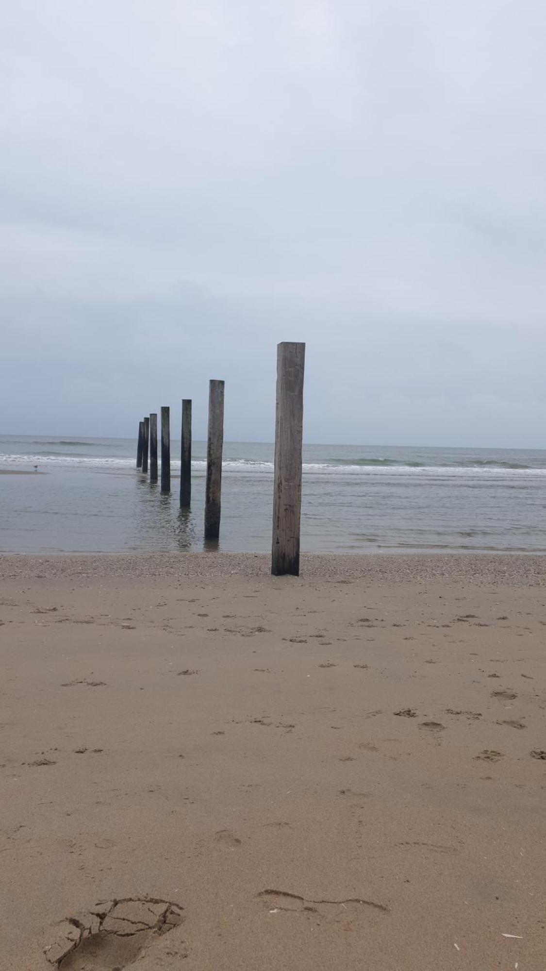 Rembrandts Beach View Zandvoort Bagian luar foto