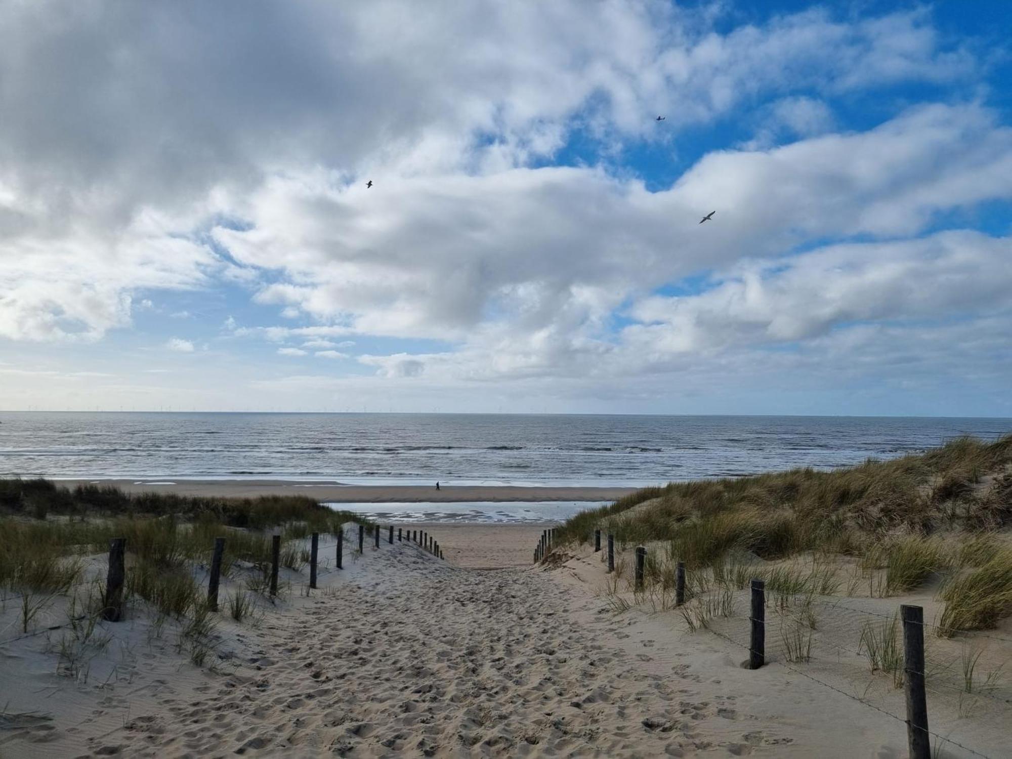 Rembrandts Beach View Zandvoort Bagian luar foto